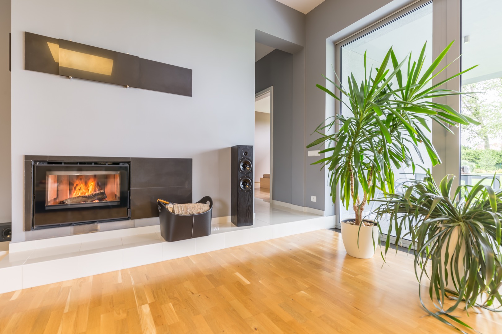 Modern minimalist fireplace in villa interior with potted plants